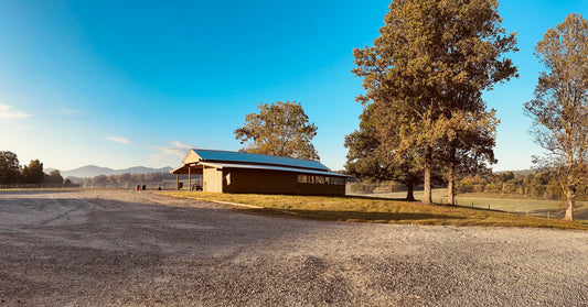 Enhance Horse Safety and Comfort with a Cameo Barn Fence