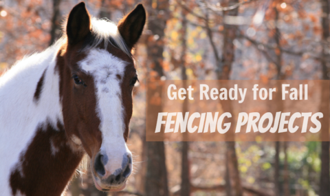 Fall – A great time to get to your fencing project