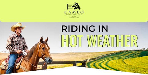 Hot Weather Riding Tips - Cameo Fencing