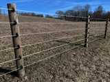 CAMEO Horse Fencing 3000 Ft