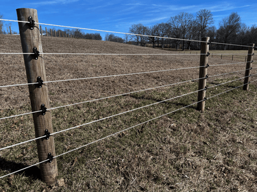 Cameo Horse Fence. The only safe horse fence.