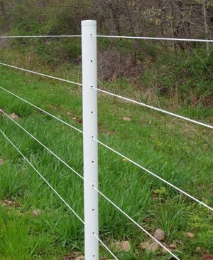 A Quick Reminder About Your Horse Fence Lines