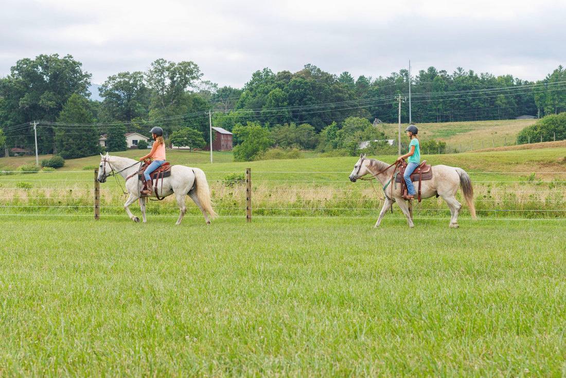 Best Durable Farm Fence Materials