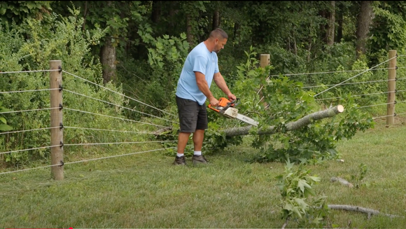 Cameo Fence vs. Fallen Tree—A Real-World Durability Test