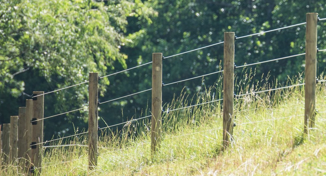 What is the Best Horse Fencing Option?