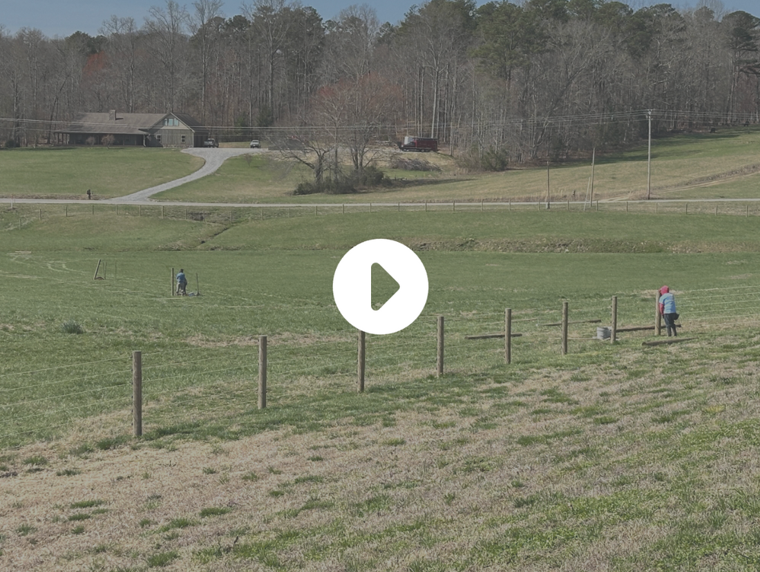 Easy T-Post Fence Installation | Cameo Fence Guide