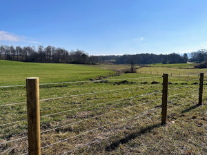 Horse Farm Fencing That is Safe and Secure