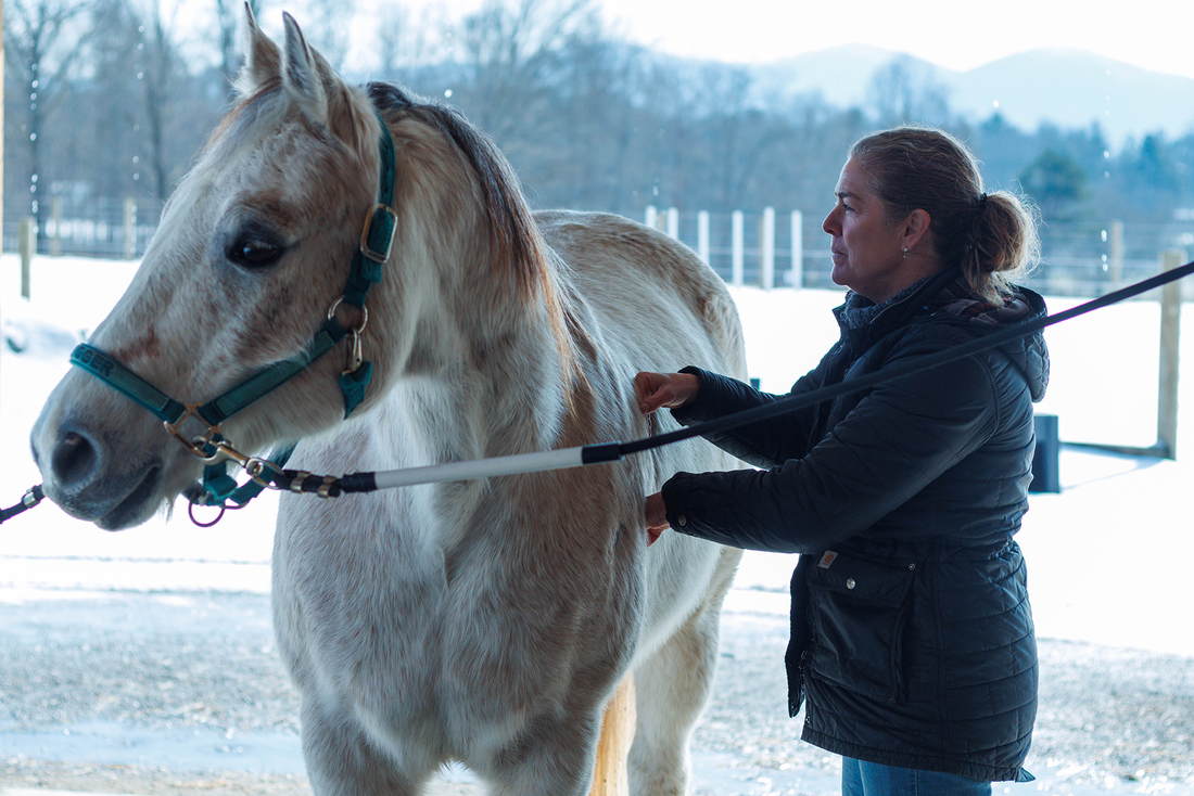 How to Bond with Your Horse Through Bodywork and a Safe Environment