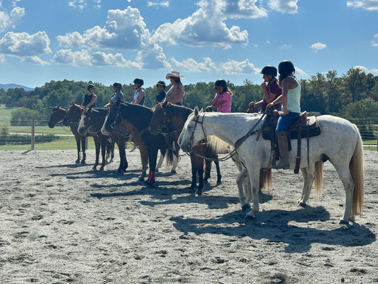 horses and riders mounted ready to ride inside cameo horse fence system corral