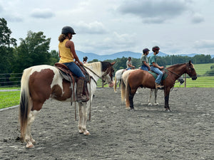 What are different types of Horse Fence?