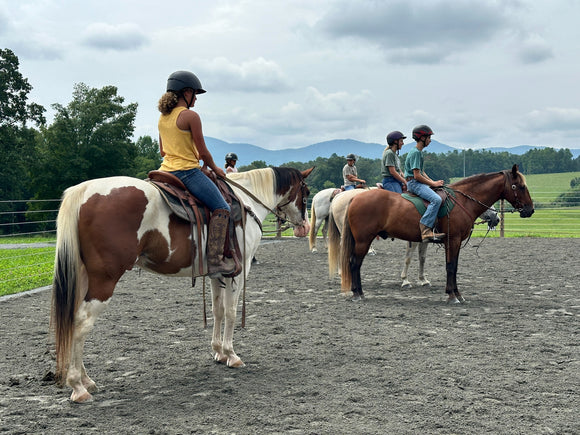 Riders on beautiful horses