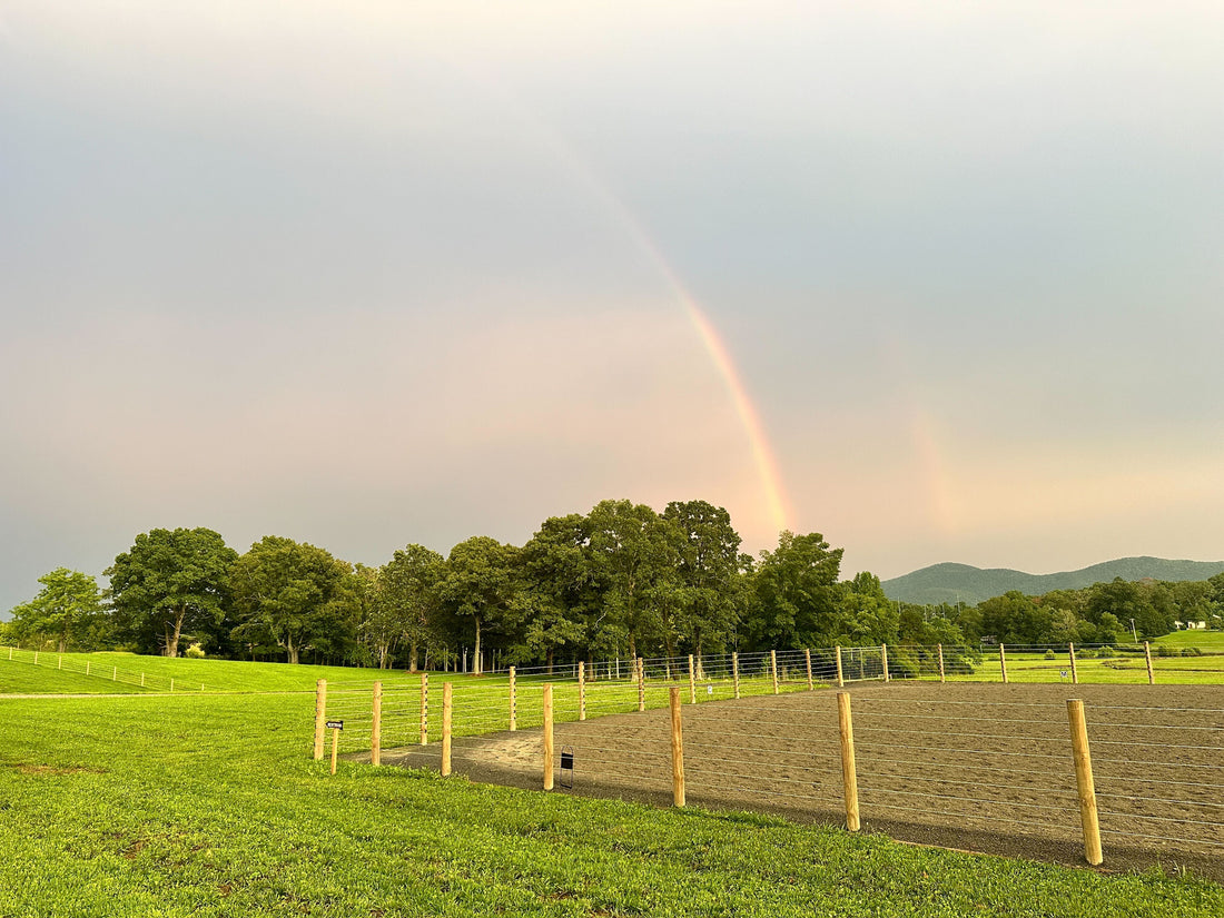 Rainbow on a horse farm