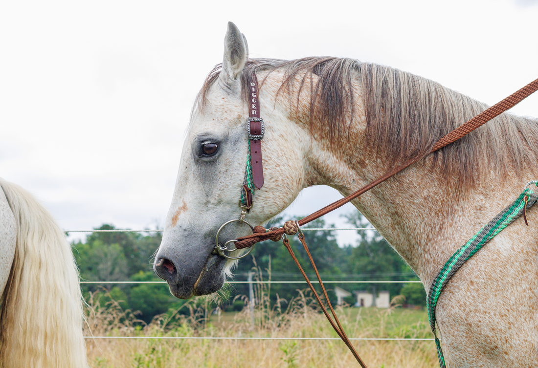 Innovative Ranch Fencing Idea