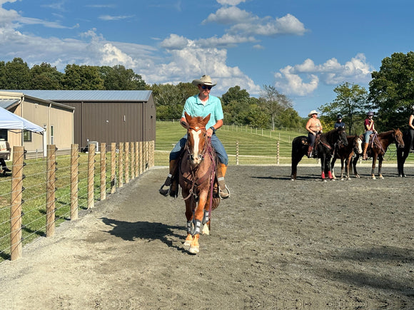 man riding horse near cameo horse fence system