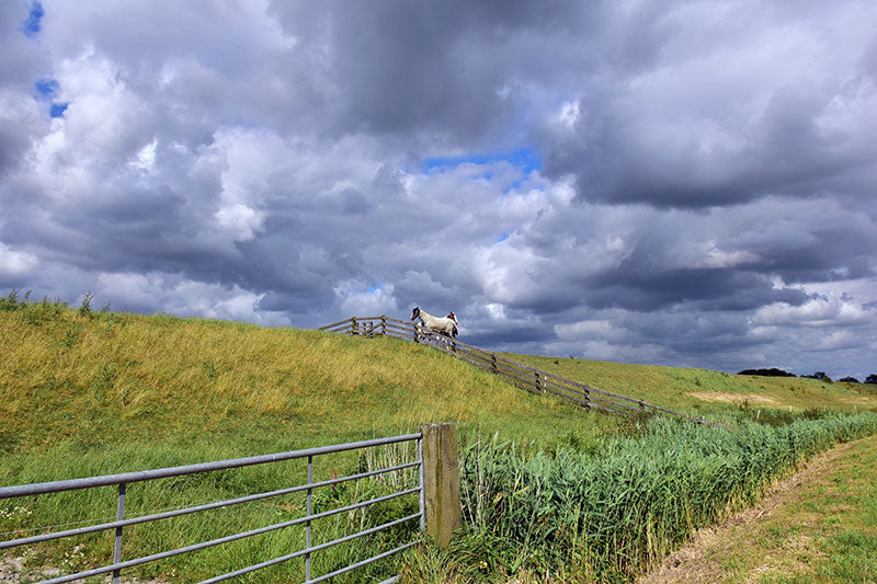 Modern Horse Fence vs Traditional