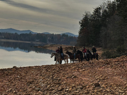 Cameo Horse Fence System riders by a lake