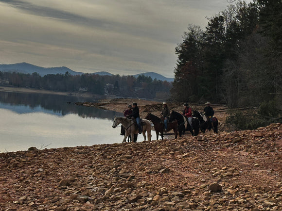 Cameo Horse Fence System riders by a lake