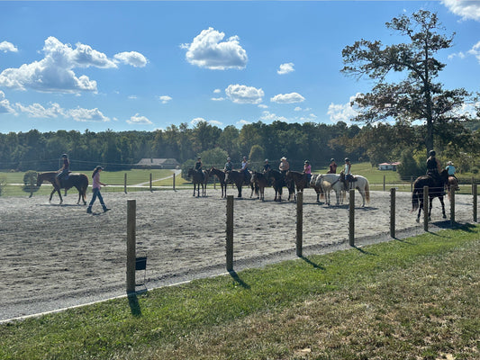 horses running along side cameo horse fence system