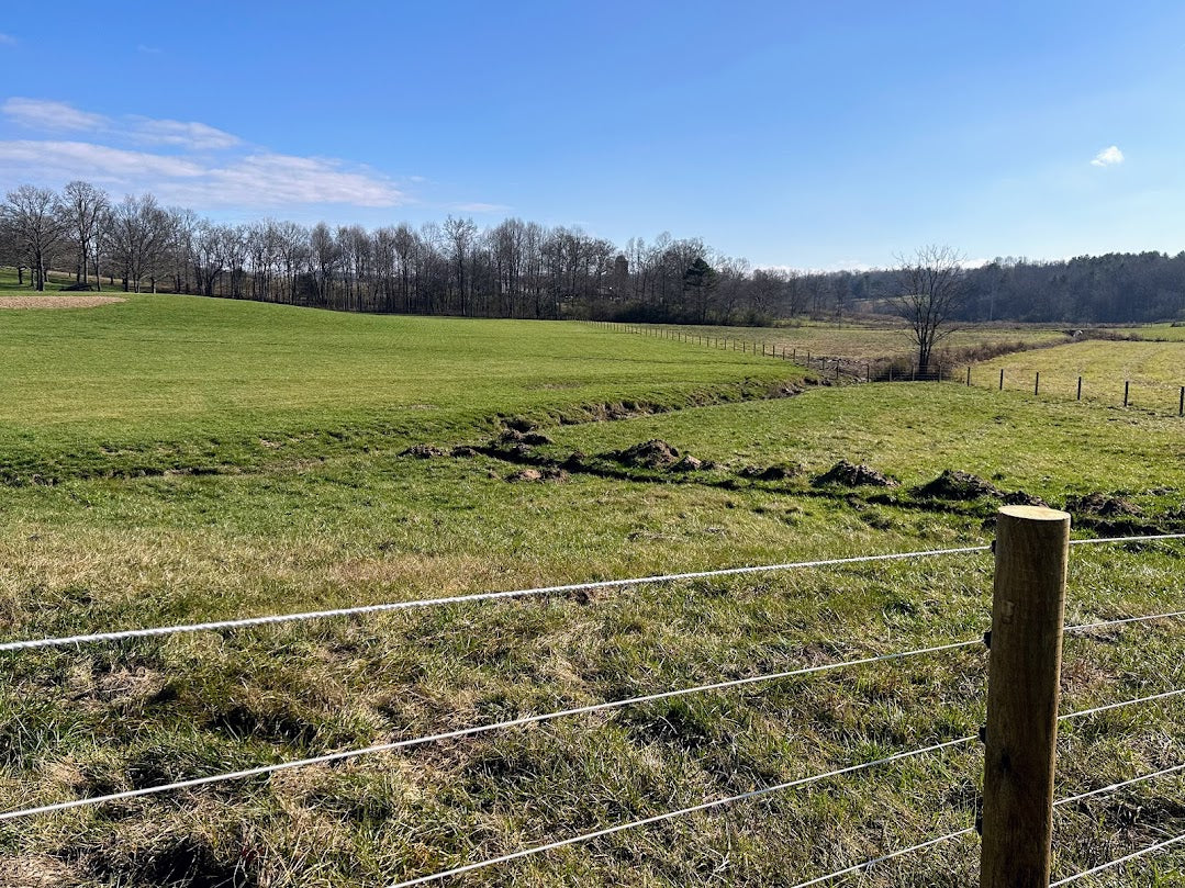 Pros and Cons of Vinyl Fence Boards