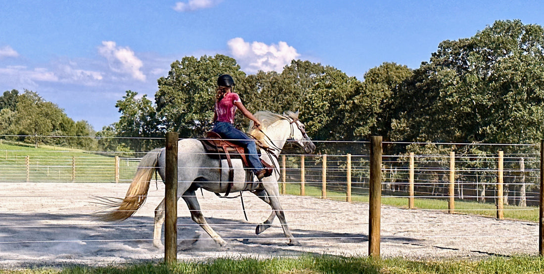 Girl riding white horse in corral 