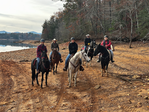 Protect Your Pastures This Winter: How Fencing Helps Combat Mud