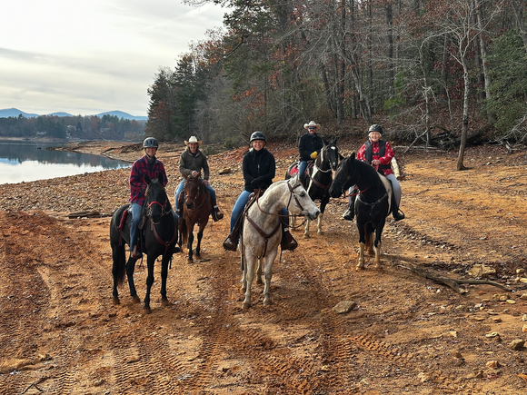 Protect Your Pastures This Winter: How Fencing Helps Combat Mud