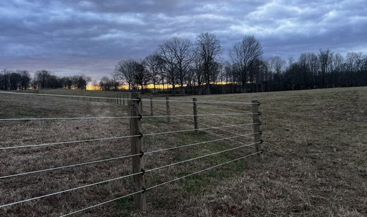 Rethinking Horse Fence Strength: What Really Keeps Horses Safe?