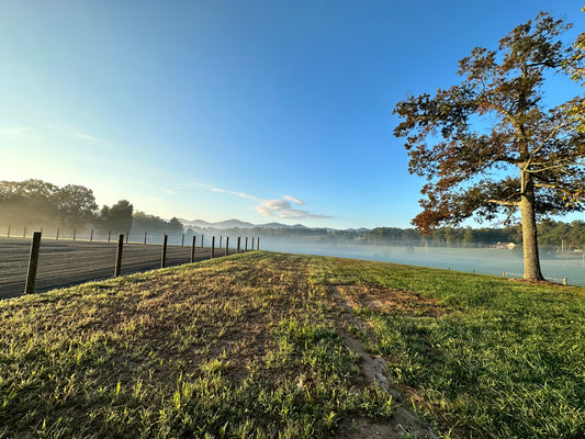 Secure Your Equine Companions with Cameo Fencing: A Comprehensive Installation Guide