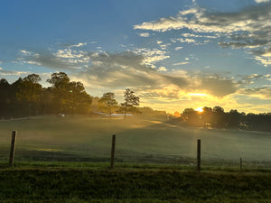 Secure Your Horses with the Ultimate Fence Design