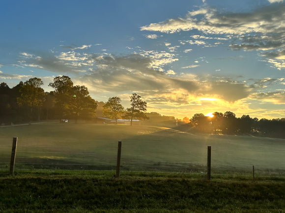 Secure Your Horses with the Ultimate Fence Design