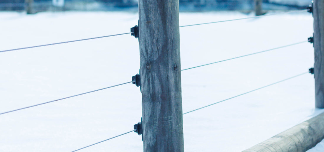 Spring Fence Maintenance Tips to Keep Your Pasture Safe and Secure