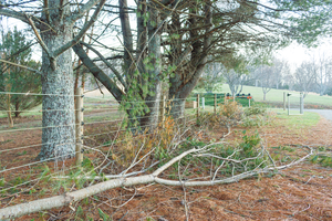 Spring Storm Season Is Coming—Is Your Fence Ready?