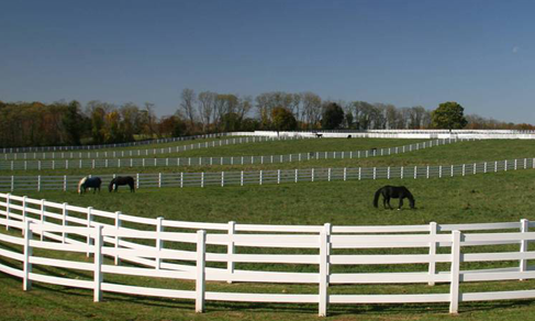 How tall should a Horse Fence be?