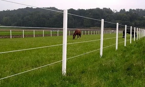 Why do Horse Farms have Double Fences?