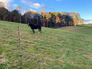 What is the best style of fencing for horses?