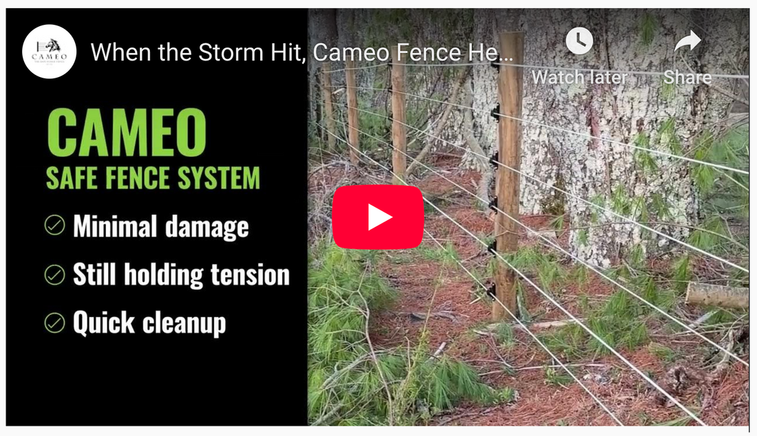 When Storms Hit Hard, Cameo Fence Stands Strong 