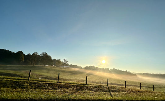 Why Cameo Horse Fence is the ONLY Safe Horse Fence - Protecting Your Horses from Spook-Related Dangers