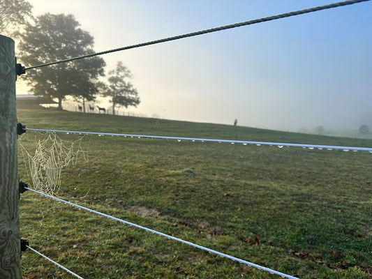 Why Cameo™ is the Best Ag Fence for Livestock and Landowners