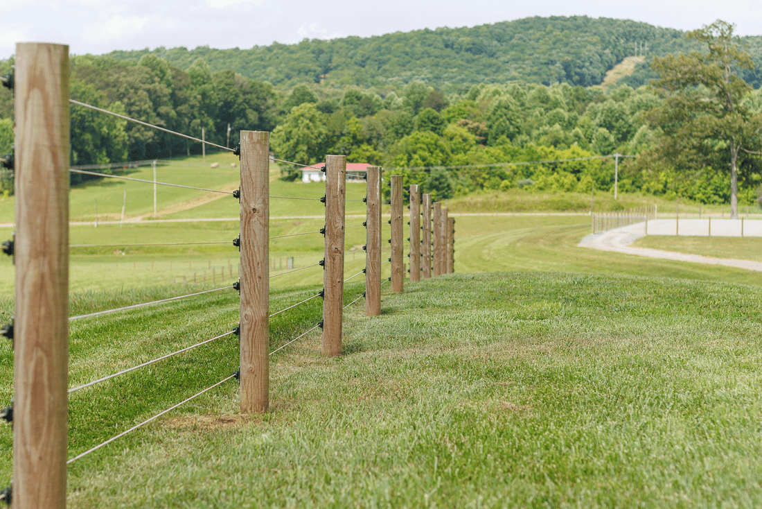 Pasture Management for Horses: Protect Your Land Before Fall