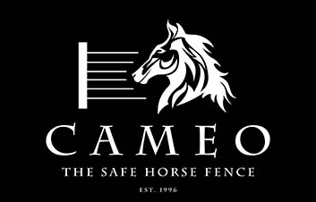 Safe Horse Fence Myths Debunked: What Really Keeps Horses Protected?
