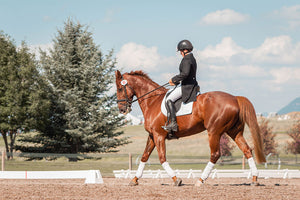 How large should a horse pasture be?