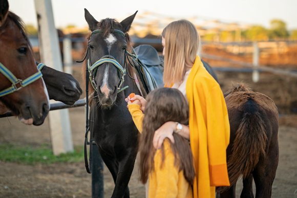 wet people with wet horse