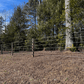 CAMEO Horse Fencing 1000 Ft.