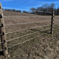 CAMEO Horse Fencing 1000 Ft.