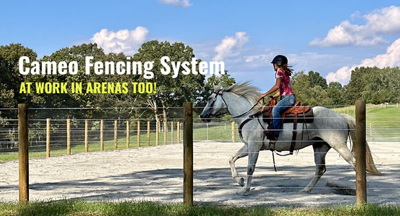 CAMEO ARENA HORSE FENCING