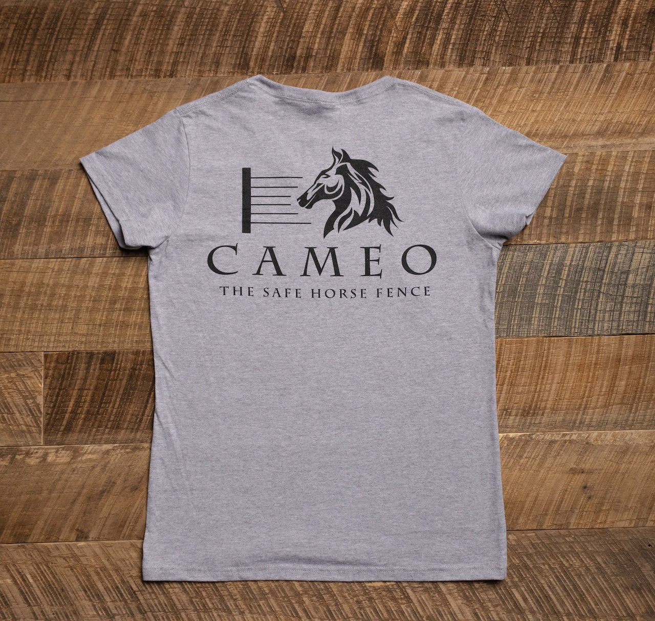 Cameo Logo Short-Sleeve Gildan DryBlend V-Neck T-Shirt For Women