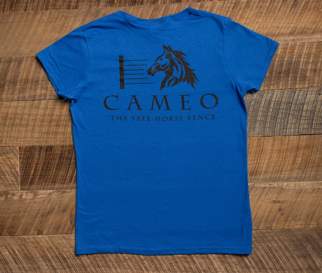Cameo Logo Short-Sleeve Gildan DryBlend V-Neck T-Shirt For Women