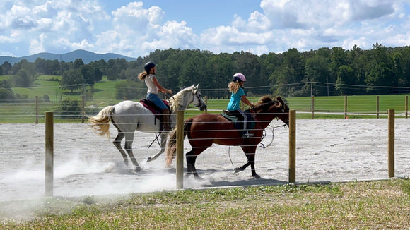 cameo horse image